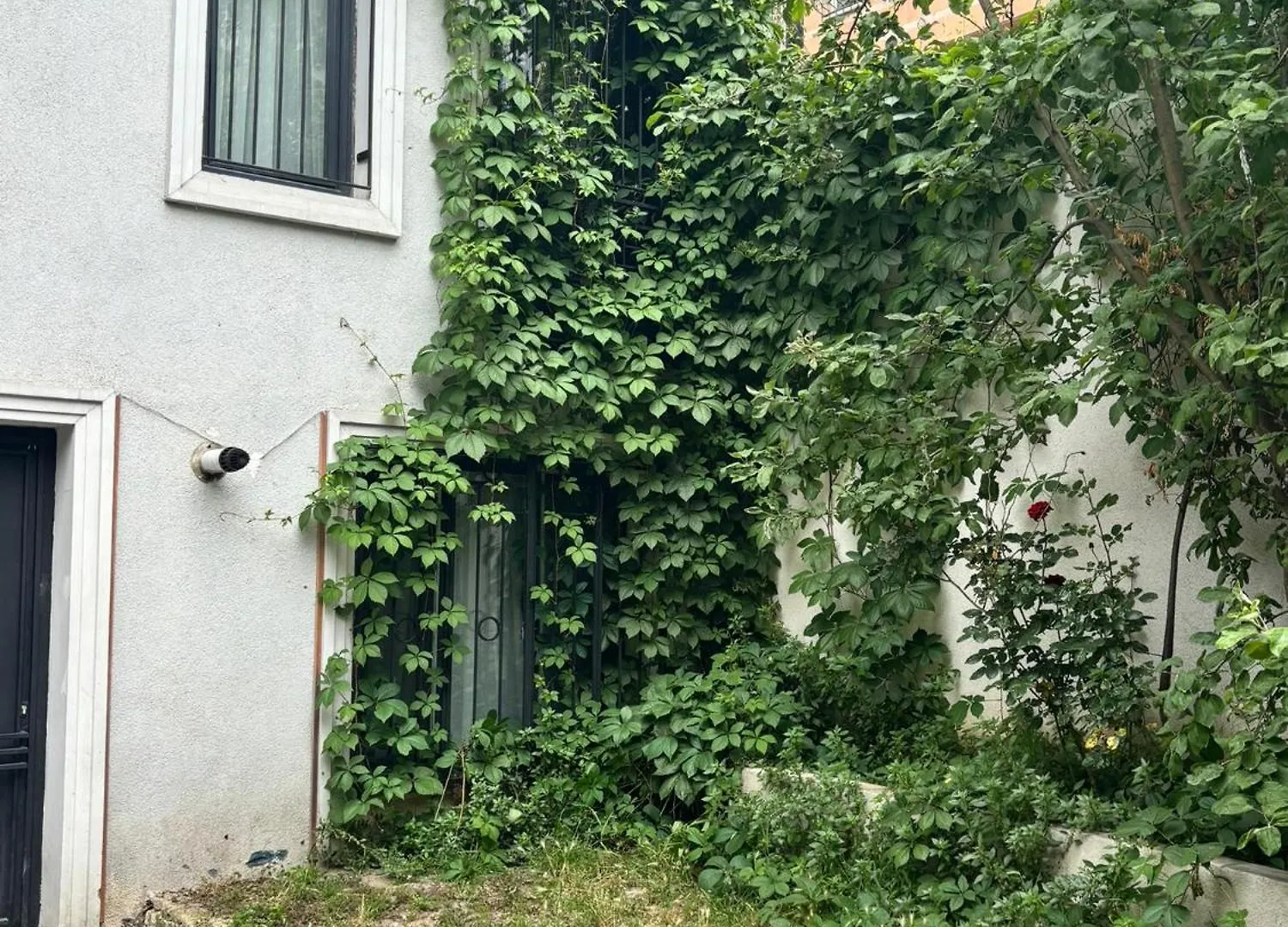 Cozy Garden-Level Apartment Near Taksim Istanbul